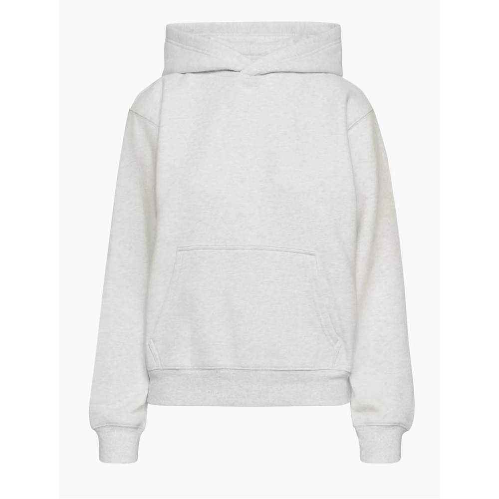 Aritzia Tna Cozy Fleece Perfect Hoodie (Heather Cloud White)